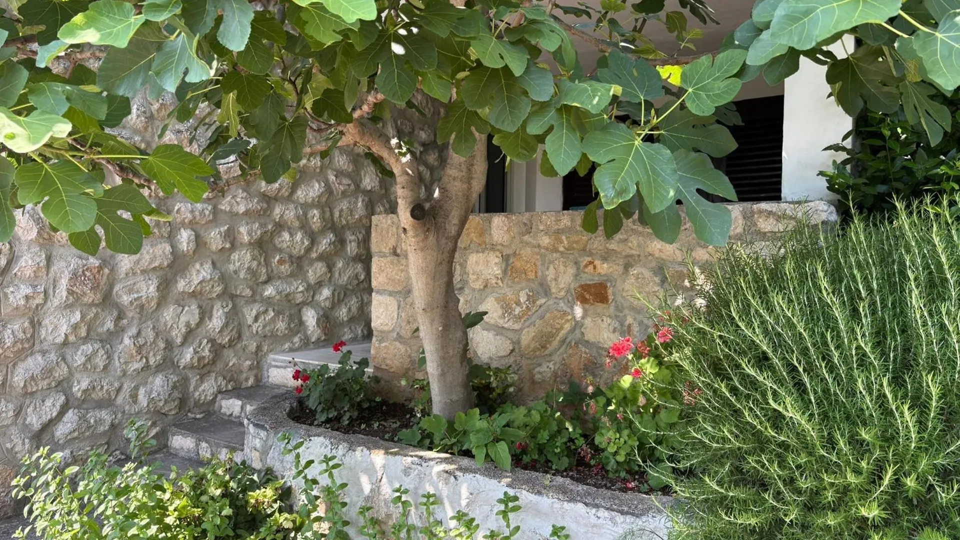 Guest House Mara Novi Vinodolski