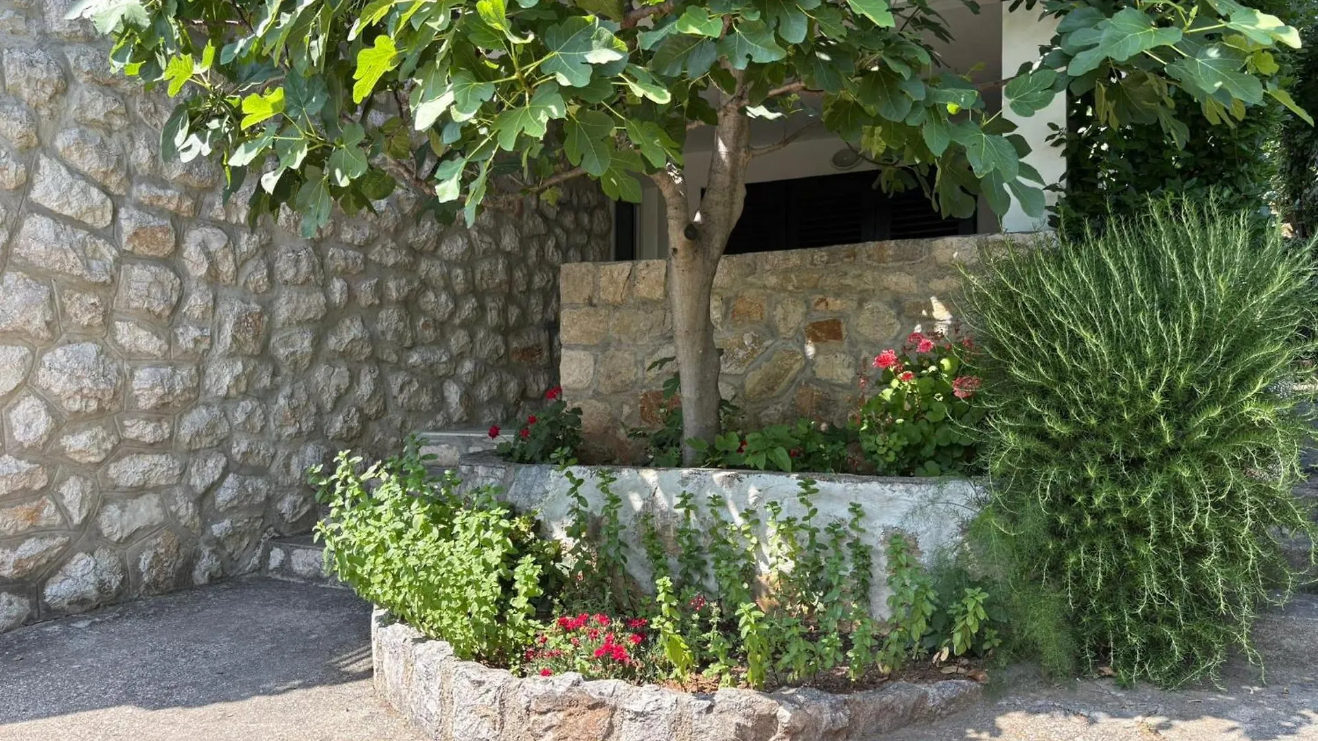 Guest House Mara Novi Vinodolski